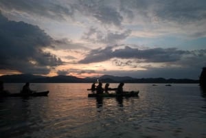 Bioluminescent Kayak Tour Costa Rica