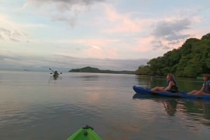 Bioluminescent Kayak Tour Costa Rica