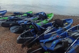 Bioluminescent Kayak Tour Costa Rica