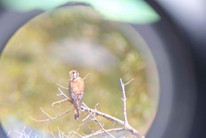 Bird Watching at Juan Castro Blanco National Park