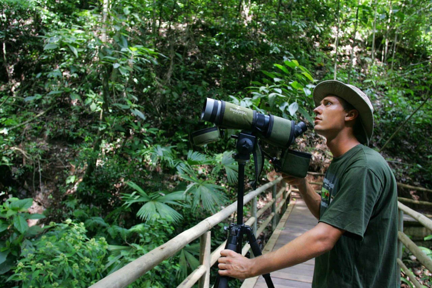 Fågelskådningstur på Rainforest Adventures Braulio Carrillo
