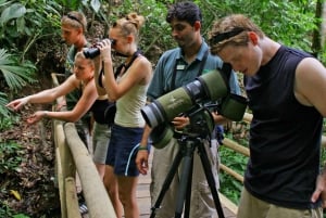 Observação de pássaros no Rainforest Adventures Braulio Carrillo