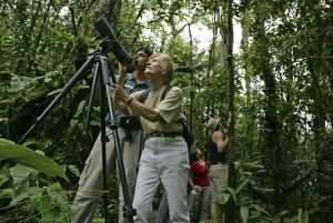 Observation des oiseaux à Rainforest Adventures Braulio Carrillo