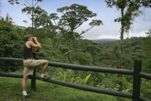 Lintujen tarkkailukierros Rainforest Adventures Braulio Carrillossa