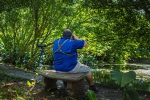 Bird watching Tour in La Fortuna