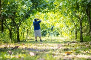 Bird watching Tour in La Fortuna