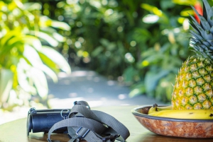 Bird watching Tour in La Fortuna