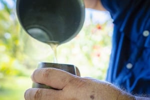 Bird watching Tour in La Fortuna