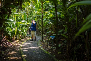 Bird watching Tour in La Fortuna