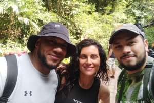 Tour de observação de pássaros em Monteverde e Curicancha