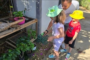 Bitzu Coffee Tour: An authentic Costa Rican experience.