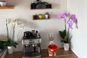 ビッツコーヒーツアー：本物のコスタリカ体験。