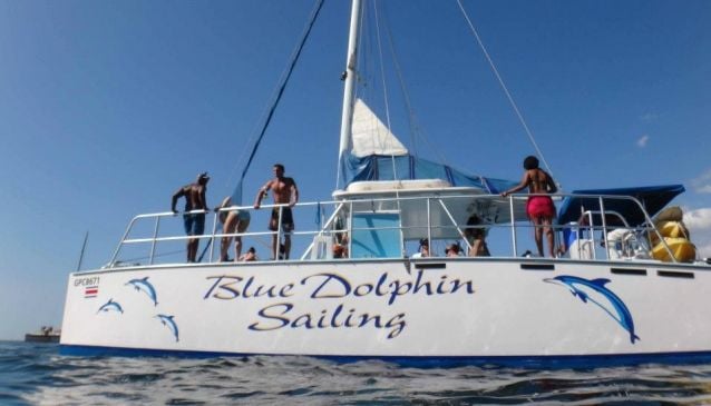 Blue Dolphin Sailing