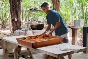 Guanacasten sininen vyöhyke: Barra Hondan luolat ja Nicoyan maut