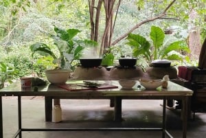 Guanacasten sininen vyöhyke: Barra Hondan luolat ja Nicoyan maut