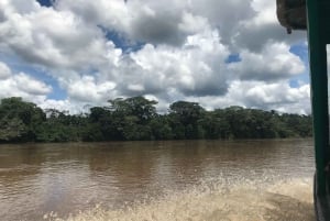 Boca Tapada Ein-Tages-Tour: Wildtiere und Vogelbeobachtung erleben