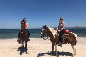 Brasilito: paardrijden op Playa Conchal en Brasilito