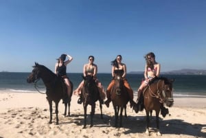 Brasilito: Horseback Riding on Playa Conchal and Brasilito