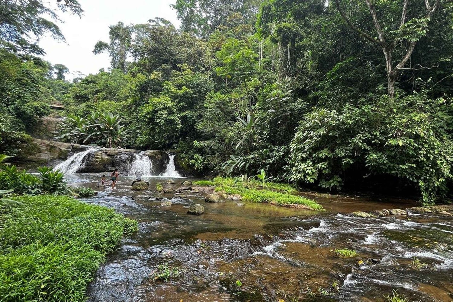 Bribri-Wurzeln: Ahnenritual und Wasserfalltour
