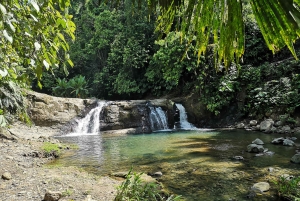 Bribri-Wurzeln: Ahnenritual und Wasserfalltour