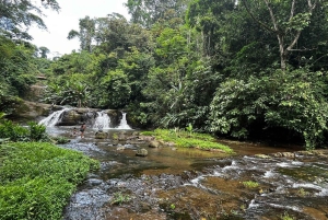 Bribri-Wurzeln: Ahnenritual und Wasserfalltour