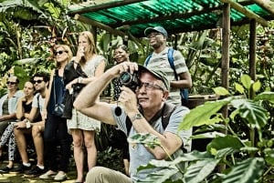 Visita ao café Britt 11:00 AM