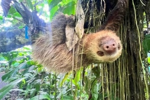 Butterflies and Birds-Entrance Ecocentro Danaus Trail 8-4PM