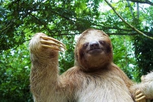 Butterflies and Birds-Entrance Ecocentro Danaus Trail 8-4PM