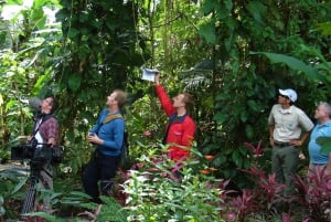 Butterflies and Birds-Entrance Ecocentro Danaus Trail 8-4PM