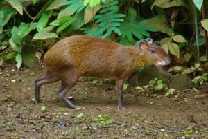 Butterflies and Birds-Entrance Ecocentro Danaus Trail 8-4PM