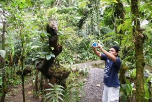 Butterflies and Birds-Entrance Ecocentro Danaus Trail 8-4PM