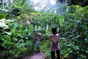 Butterflies and Birds-Entrance Ecocentro Danaus Trail 8-4PM