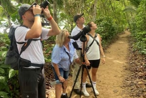 Cahuita: Guided Hike Through Cahuita National Park