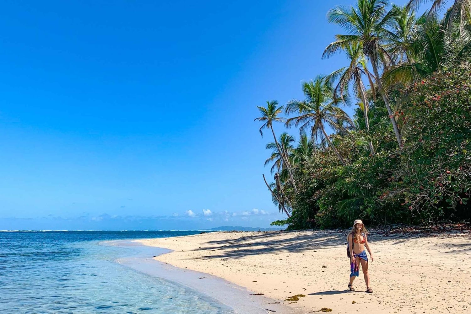 Parque Nacional Cahuita + Tour do Chocolate Bribri + Tour das Cataratas + Almoço