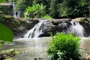 Cahuita National Park+Bribri Chocolate Tour+Waterfalls Tour+Lunch