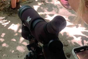 Parque Nacional Cahuita + Tour do Chocolate Bribri + Tour das Cataratas + Almoço