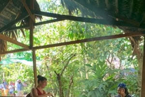 Parque Nacional Cahuita + Tour do Chocolate Bribri + Tour das Cataratas + Almoço