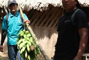 Parque Nacional Cahuita + Tour do Chocolate Bribri + Tour das Cataratas + Almoço