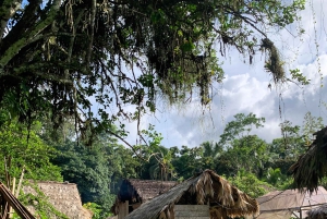 Parque Nacional Cahuita + Tour do Chocolate Bribri + Tour das Cataratas + Almoço