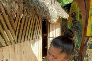 Parque Nacional Cahuita + Tour do Chocolate Bribri + Tour das Cataratas + Almoço
