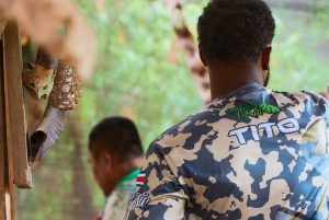 Parque Nacional Cahuita + Tour do Chocolate Bribri + Tour das Cataratas + Almoço