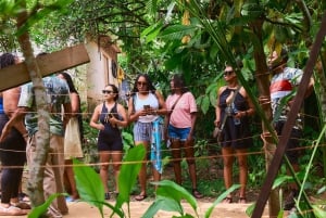 Parque Nacional Cahuita + Tour do Chocolate Bribri + Tour das Cataratas + Almoço