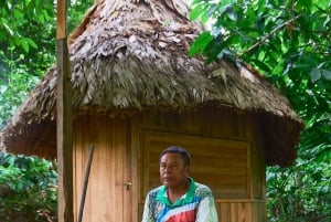 Parque Nacional Cahuita + Tour do Chocolate Bribri + Tour das Cataratas + Almoço