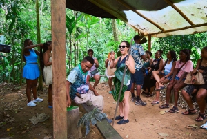 Parque Nacional Cahuita + Tour do Chocolate Bribri + Tour das Cataratas + Almoço