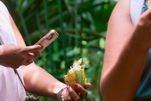 Parque Nacional Cahuita + Tour do Chocolate Bribri + Tour das Cataratas + Almoço