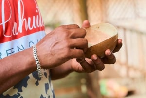 Parque Nacional Cahuita + Tour do Chocolate Bribri + Tour das Cataratas + Almoço