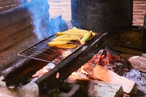 Parque Nacional Cahuita + Tour do Chocolate Bribri + Tour das Cataratas + Almoço