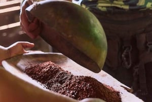 Parque Nacional Cahuita + Tour do Chocolate Bribri + Tour das Cataratas + Almoço