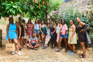 Parque Nacional Cahuita + Tour do Chocolate Bribri + Tour das Cataratas + Almoço