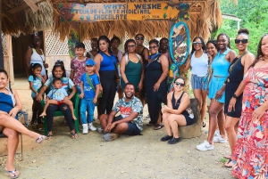 Parque Nacional Cahuita + Tour do Chocolate Bribri + Tour das Cataratas + Almoço